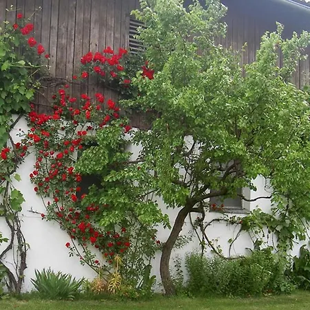 Goelsenhof - Fam. Buechinger *