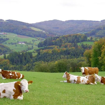 Goelsenhof - Fam. Buechinger Κατάλυμα σε φάρμα *