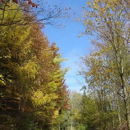 Gölsenhof - Fam. Büchinger