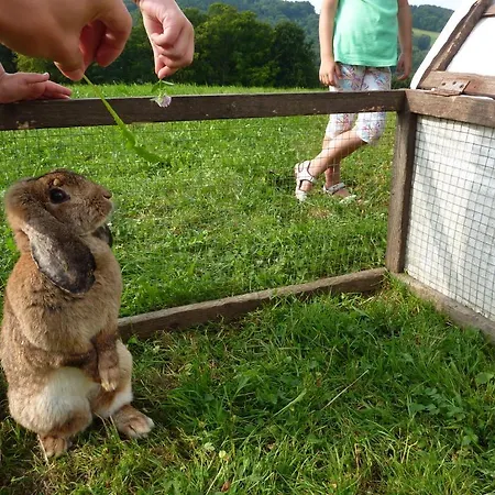 Goelsenhof - Fam. Buechinger Vakantieboerderij *
