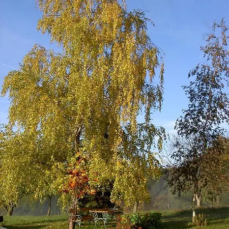 Vakantieboerderij Goelsenhof - Fam. Buechinger *