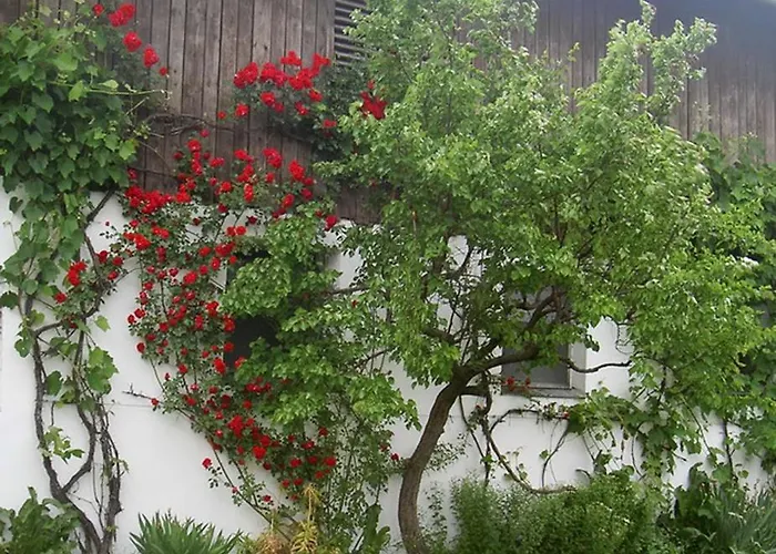 Gölsenhof - Fam. Büchinger *