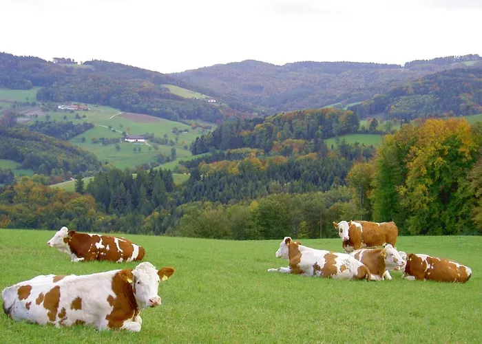 Gölsenhof - Fam. Büchinger Agroturismo *