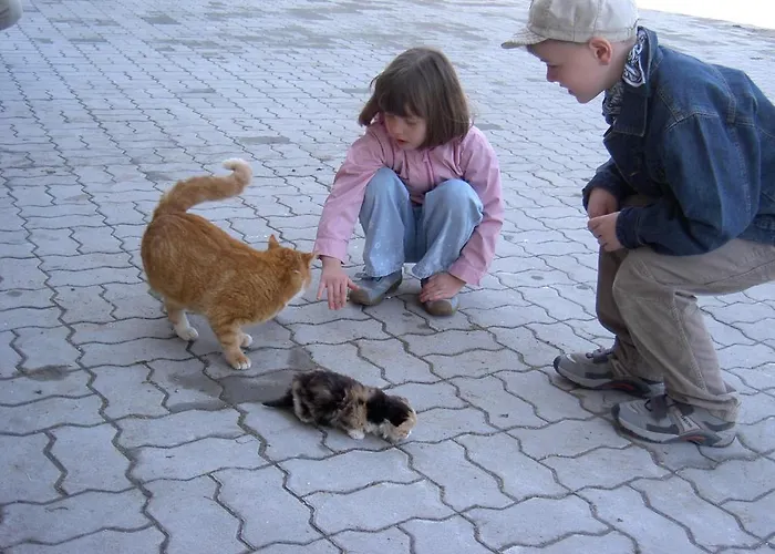 Gölsenhof - Fam. Büchinger Agroturismo *