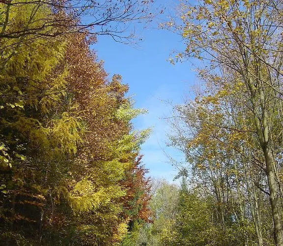 Gölsenhof - Fam. Büchinger