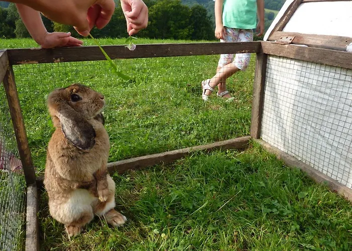 Gölsenhof - Fam. Büchinger Agroturismo *